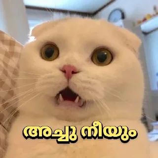 😵 emoji @shamilnelli Vol 2 Telegram sticker 15 of 120