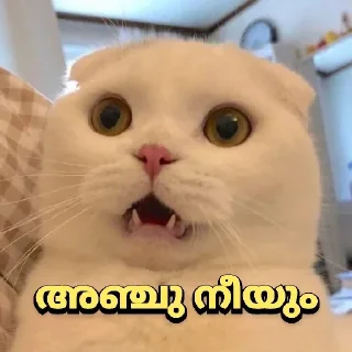 😵 emoji @shamilnelli Vol 2 Telegram sticker 14 of 120
