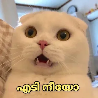 😵 emoji @shamilnelli Vol 2 Telegram sticker 16 of 120