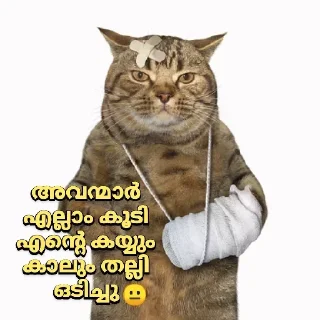 🤕 emoji @shamilnelli Vol 2 Telegram sticker 19 of 120