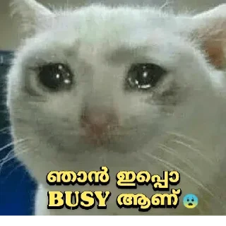 😿 emoji @shamilnelli Vol 2 Telegram sticker 24 of 120