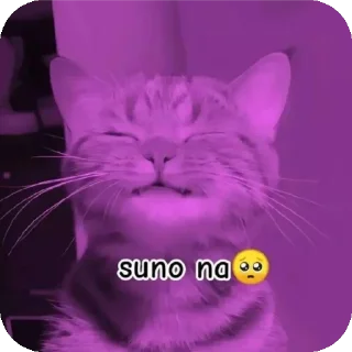 🐱 emoji ◤𝐺𝑂𝐽𝑂 ✘『𝐃𝚵𝐒𝐓𝐑𝐎𝐘𝚵𝐑』𖤍༄'s video pack (@Mikasa_Ackr_bot) Telegram sticker 23 of 80
