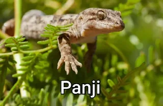 🤔 emoji 𝑀𝑎𝑦𝑙𝑒𝑛𝑛𝑒𝑠 | ｖａｙｕ | ｖｉｎｃｅ | ｓｐｅｓ's pack by @prinzeugen_robot Telegram sticker 11 of 32