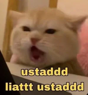 👍 emoji punyadiara. Telegram sticker 5 of 15