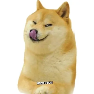 🤤 emoji @only_SQ — @stckrRobot Telegram sticker 5 of 110