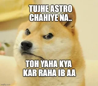 Sticker from Astropay seller @thekunaljain