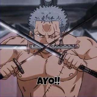 Sticker from zoro @bagistikerni