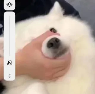 🔇 emoji liusu的到处偷 Telegram sticker 7 of 83