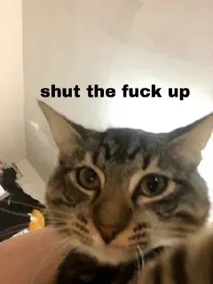 😂 emoji 𝐖ση∂єяƒυℓ 🍃🌸@sochkdmkrna — @stckrRobot Telegram sticker 12 of 100