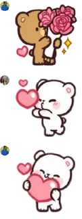 🌟 emoji Sri lankan friends club 🇱🇰 pack by @QuotLyBot Telegram sticker 12 of 120