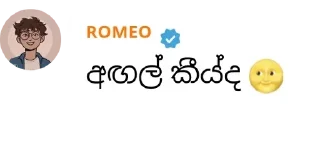 🌝 emoji Sri lankan friends club 🇱🇰 pack by @QuotLyBot Telegram sticker 5 of 120