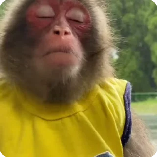 Sticker from Janvi 2 🐒🐵@BADDAsS_FUFA