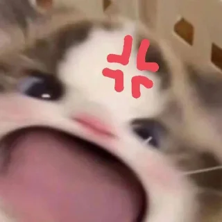 🐈 emoji me is cat <@miaaws> Telegram sticker 11 of 51