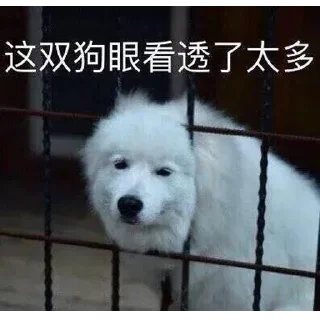 🤣 emoji 橘子家水果 @juzijia Telegram sticker 24 of 89
