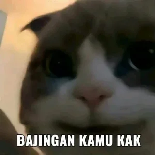 😁 emoji ditod Telegram sticker 8 of 16