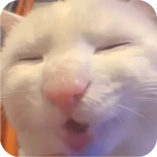 🥵 emoji udin si tampan yang turun dari surga @Par4siteve Telegram sticker 11 of 38
