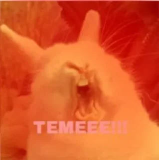 😤 emoji japanish meme by ginn Telegram sticker 10 of 108