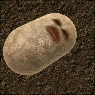 😀 emoji potatoo kentang Telegram sticker 7 of 21