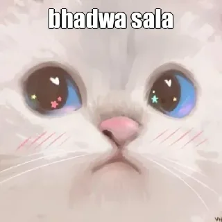 🙂 emoji 😹[̲̅M][̲̅e][̲̅o][̲̅w] 😻[̲̅m][̲̅e][̲̅o][̲̅w] 😹's stic-pack (@Kuri Telegram sticker 19 of 120