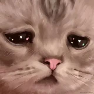 🌟 emoji @FLYNN_LOYAL Cat Emotion🐈 Telegram sticker 20 of 55
