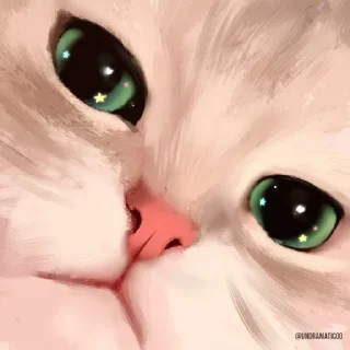 🌟 emoji @FLYNN_LOYAL Cat Emotion🐈 Telegram sticker 11 of 55