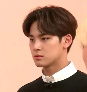 👍 emoji mingyu Telegram sticker 9 of 14