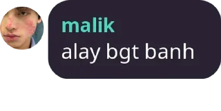 Sticker from sc malik camero