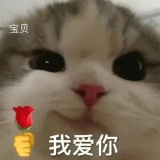 ❤️ emoji 小鱼仔     @xiaoyuzaicc Telegram sticker 14 of 63