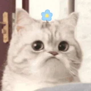 ❤️ emoji 小鱼仔     @xiaoyuzaicc Telegram sticker 8 of 63