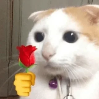 ❤️ emoji 小鱼仔     @xiaoyuzaicc Telegram sticker 10 of 63