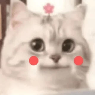 ❤️ emoji 小鱼仔     @xiaoyuzaicc Telegram sticker 6 of 63