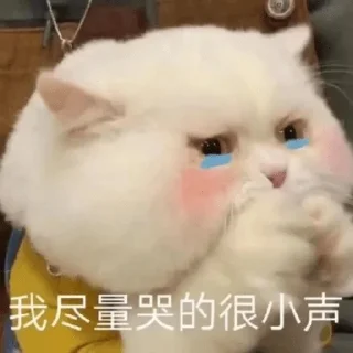 ❤️ emoji 小鱼仔     @xiaoyuzaicc Telegram sticker 21 of 63