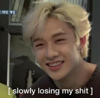 Sticker from — SKZ MEME @skztikel