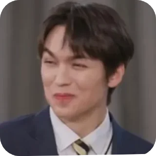 🤭 emoji MANIAC SVT 2.0 (JIMINGYU) Telegram sticker 16 of 76