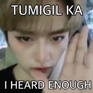 Sticker from Funny skz memes :: @Eqsxz