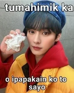 Sticker from Funny skz memes :: @Eqsxz