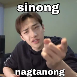 Sticker from Funny skz memes :: @Eqsxz