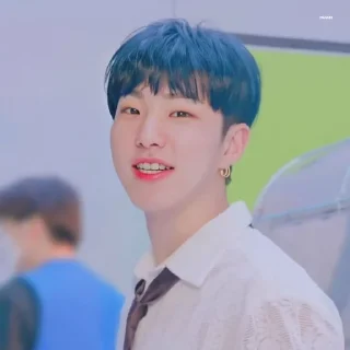 🐯 emoji KWON SOONYOUNG Telegram sticker 16 of 76