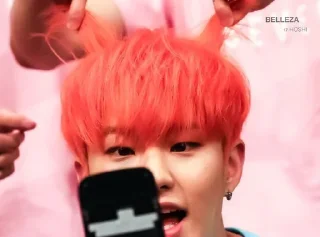 🐯 emoji KWON SOONYOUNG Telegram sticker 20 of 76