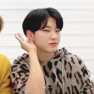 🐯 emoji KWON SOONYOUNG Telegram sticker 6 of 76