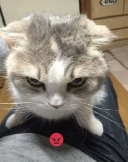😡 emoji Your stickers - @my_stckers_bot Telegram sticker 20 of 32