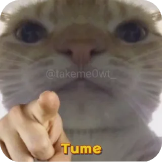 🤲 emoji Masti 😋 Telegram sticker 7 of 57