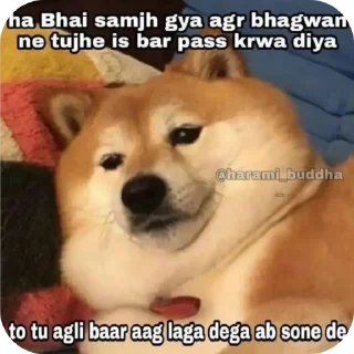 🐶 emoji Masti 😋 Telegram sticker 10 of 57
