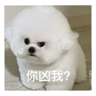 Sticker from 修狗の表情包