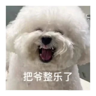 Sticker from 修狗の表情包