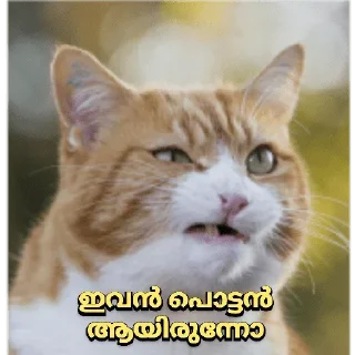 🤨 emoji Mine Telegram sticker 16 of 120