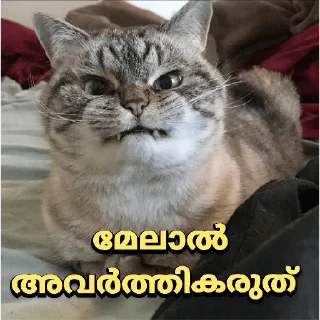 😡 emoji Mine Telegram sticker 12 of 120