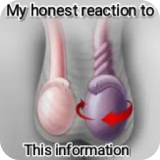 🤲 emoji $ sign ka कुल्फा पैक - @bitchlmtheone Telegram sticker 20 of 61