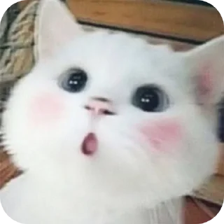 😀 emoji Ayan Stickers Telegram sticker 20 of 26