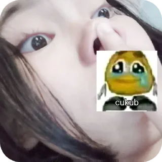 😀 emoji sirkel bb Telegram sticker 19 of 41